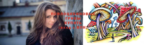 скорость Кукмор