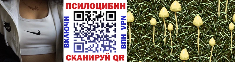Галлюциногенные грибы ЛСД  ОМГ ОМГ зеркало  Щёлково  цена  