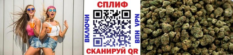 наркошоп Щёлково Каннабис VHQ